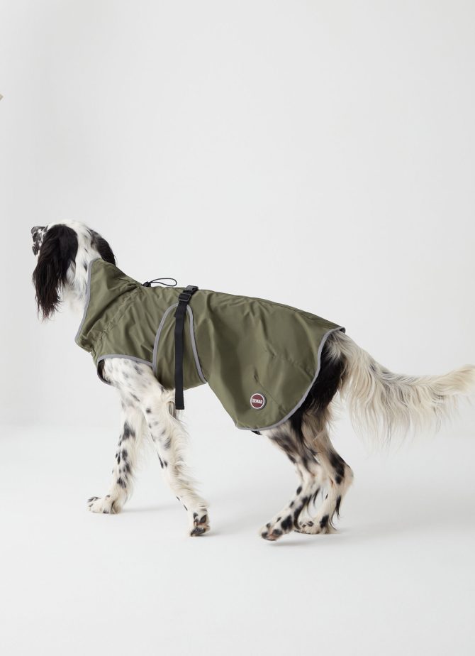 Rain-proof jacket for dogs