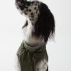 Rain-proof jacket for dogs - Image 2