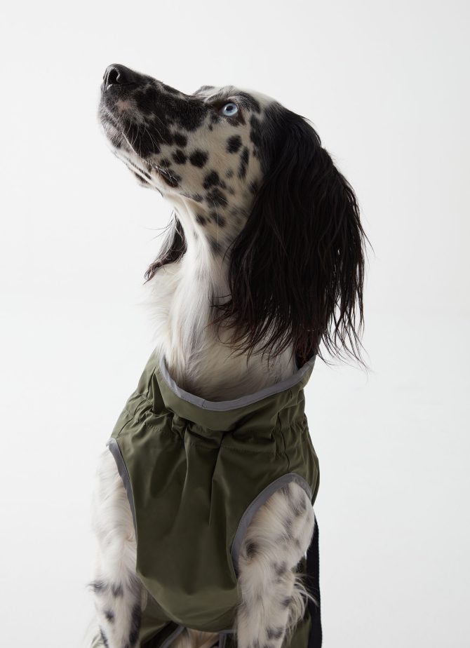 Rain-proof jacket for dogs - Image 2