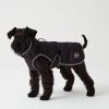 Padded jacket for dogs - Image 3