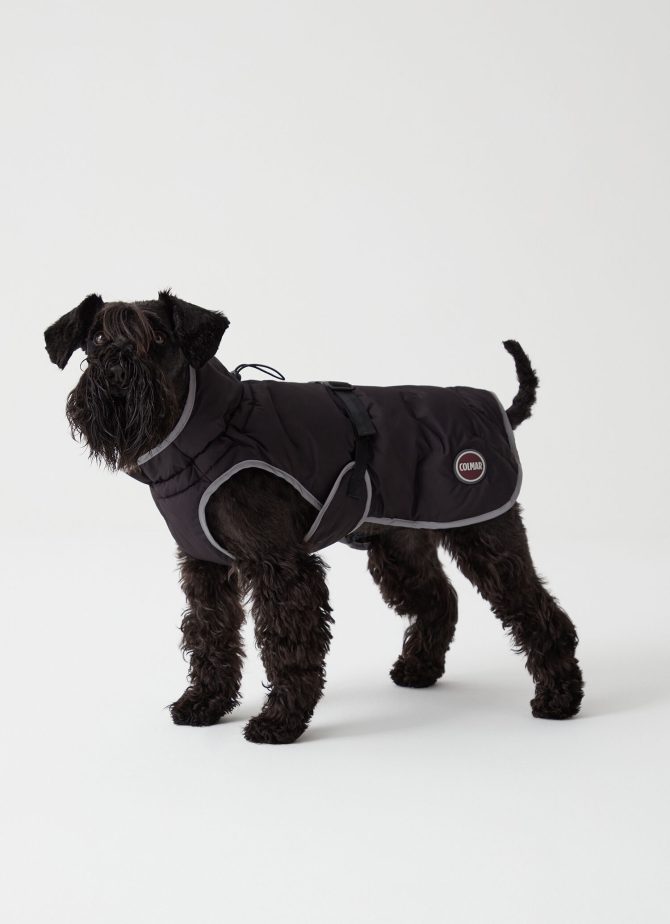 Padded jacket for dogs - Image 3
