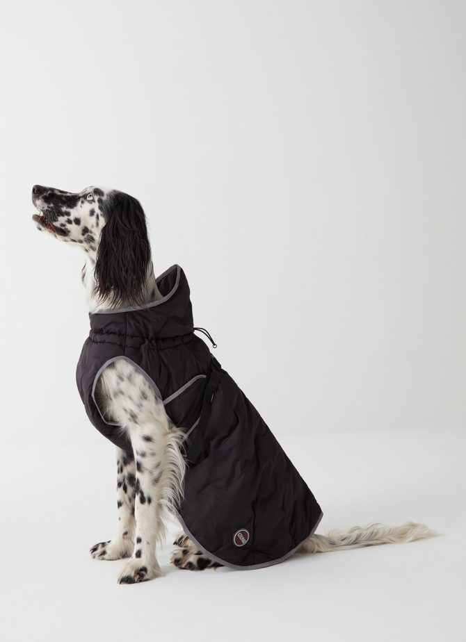 Padded jacket for dogs