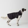 Padded jacket for dogs - Image 2
