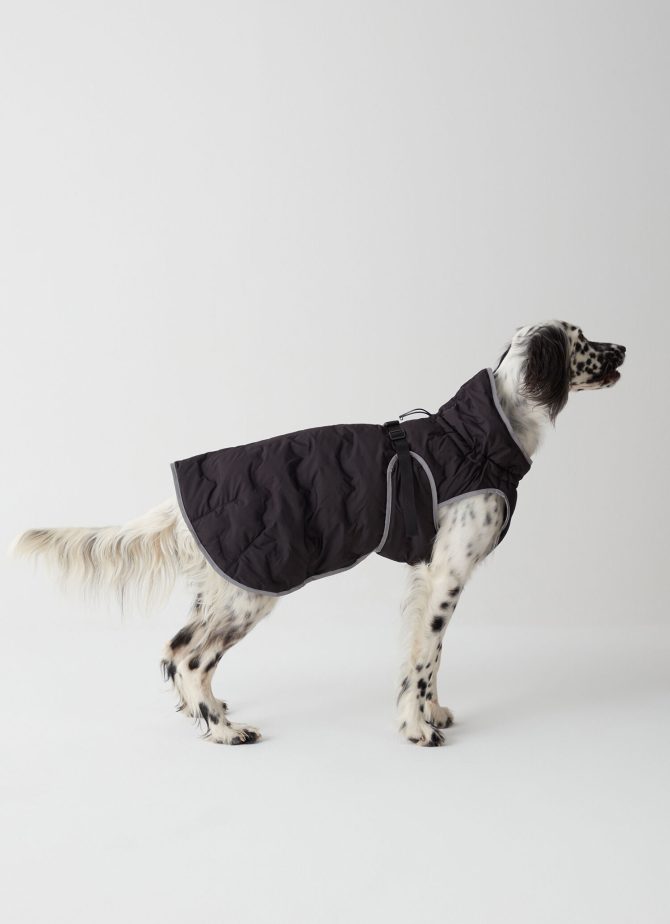 Padded jacket for dogs - Image 2