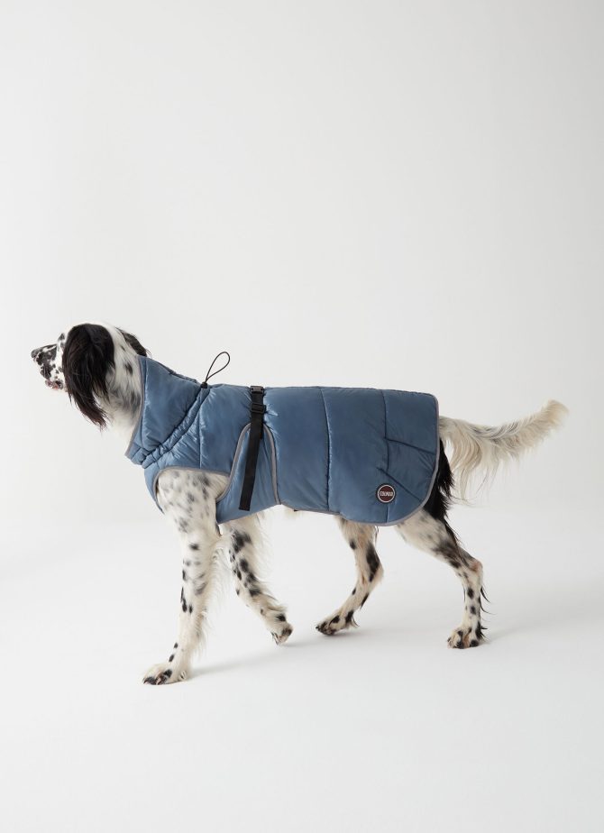 Padded jacket for dogs - Image 3