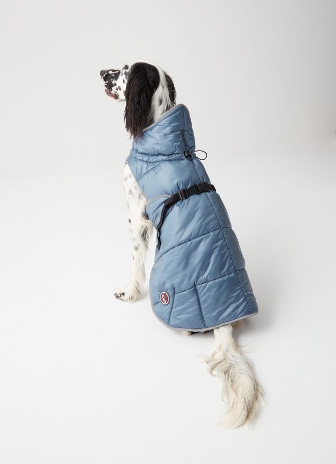 Padded jacket for dogs - Image 4