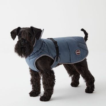 Padded jacket for dogs