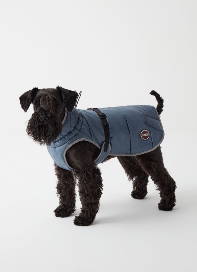 Padded jacket for dogs