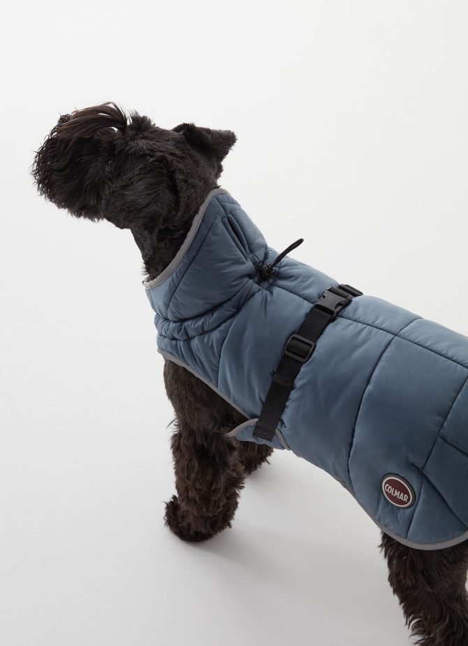 Padded jacket for dogs - Image 2